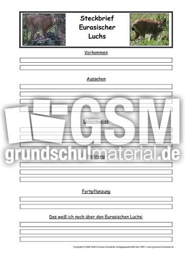 Luchs-Steckbriefvorlage.pdf